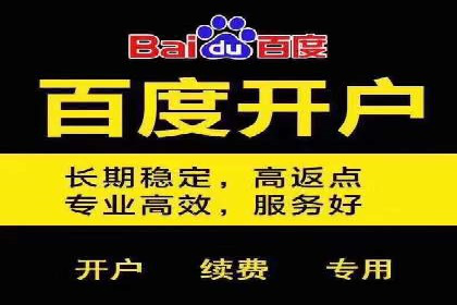 SEM推广策略：实战案例解析